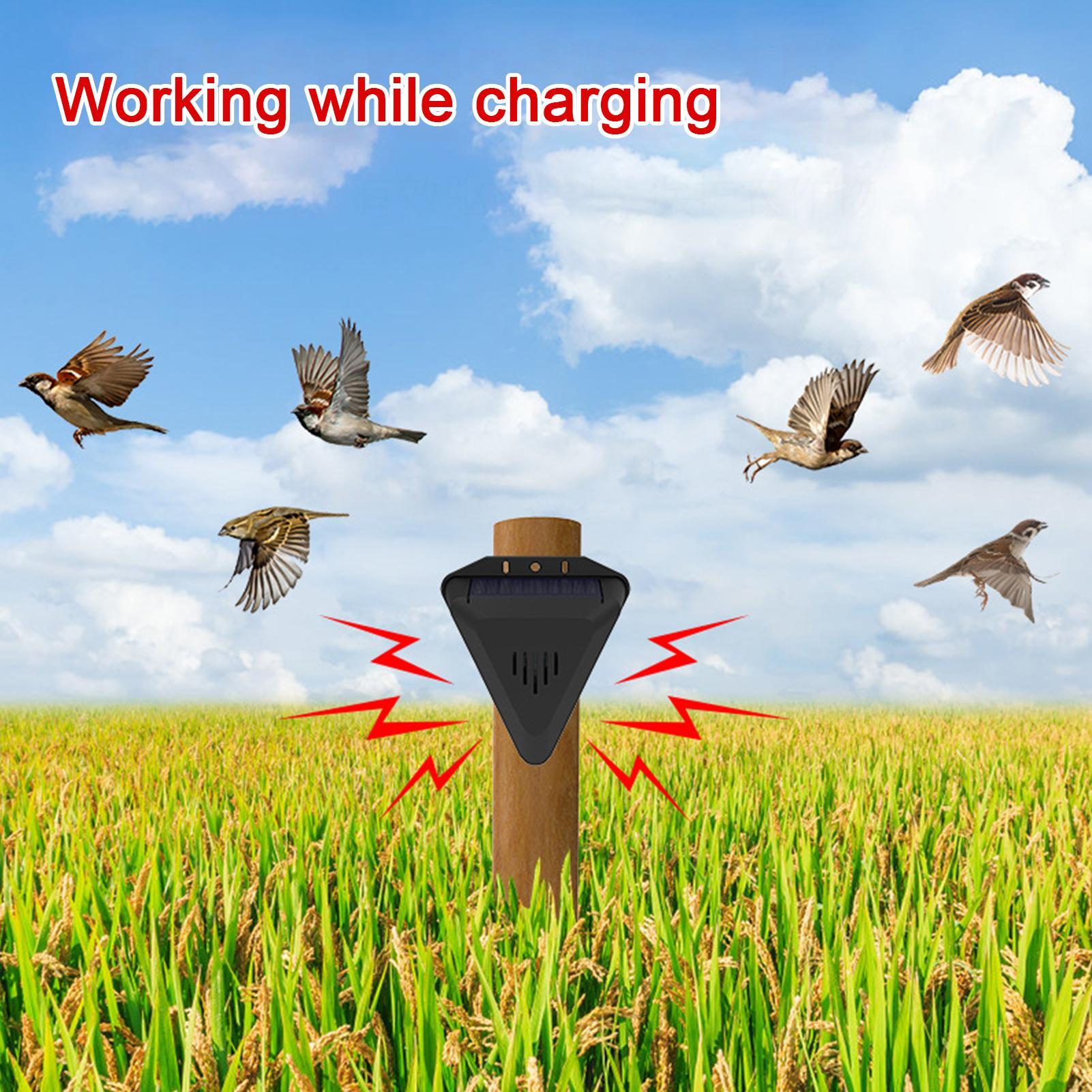 Solar Timer Bird Repeller With - Outdoor Power Timer recension och pris