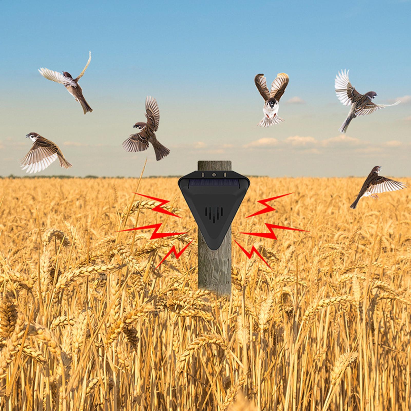 Solar Timer Bird Repeller With - Outdoor Power Timer recension och pris
