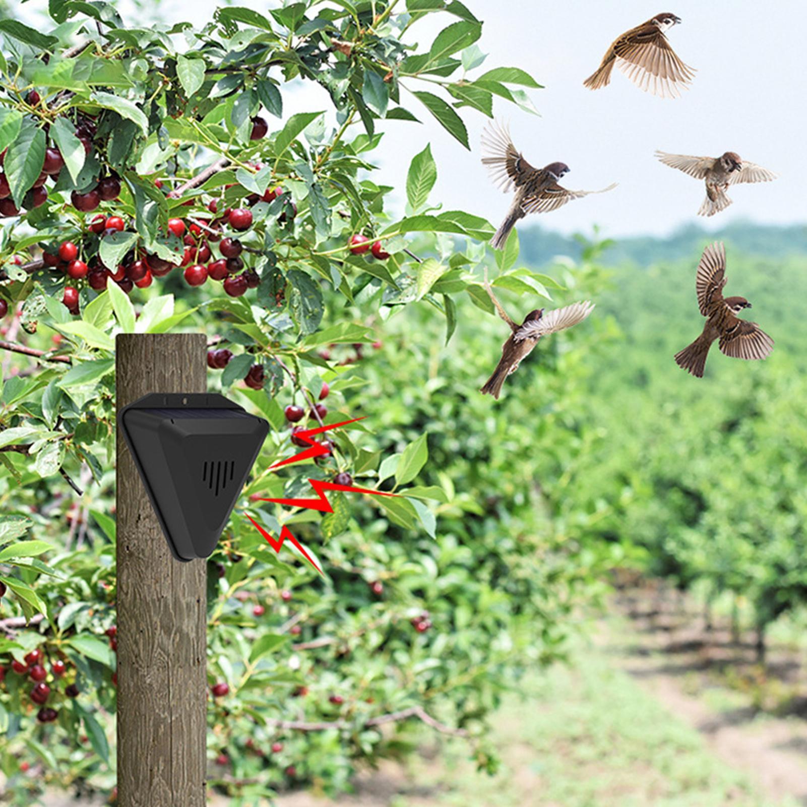 Solar Timer Bird Repeller With - Outdoor Power Timer recension och pris
